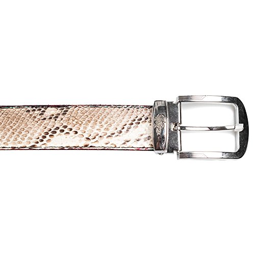 Genuine Python Snake Skin Leather Men Office Casual Dress Buckle Pant Jean Belt4