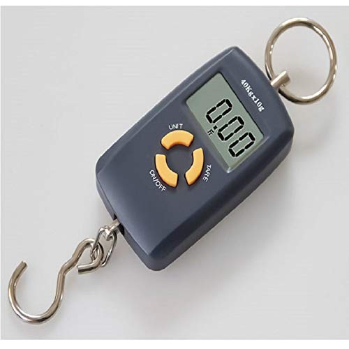 JYCTD 40 x 10g Mini tragbare elektronische Waage Gewicht Angeln Gepäckwaage Digital Travel Hängehaken Waage Kein Licht Cover