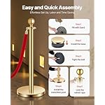 VEVOR Stanchions and Velvet Ropes 6Pcs, Hollow Base with Stainless Steel Post, 4 Red Velvet Ropes and Posts, Crowd Control Barriers Gold Stanchions, Red Carpet Runner Poles for Party Supplies - Image 4