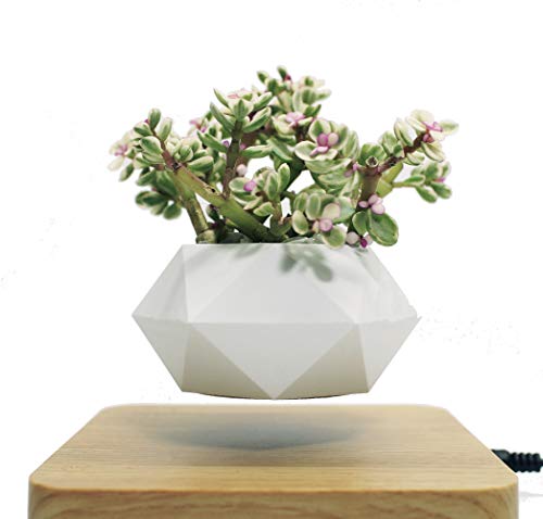 Real Photos! iFloat Levitating Anti-Gravity Floating Air Plant, Free Spinning Bonsai Flower Pot for Therapeutic Effect, Work from Home Desk & Home Decor (Light Brown)