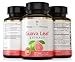 Florida Herbal Pharmacy, Guava Leaf Extract Supplement Capsules 10:1 (120 Capsules),Two Months Supply