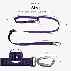 Heavy-Duty-Tactical-Dog-Leash-for-Medium-and-Large-Dogs-6-in-1-Hands-Free-Dog-Leash-for-Training-4-7FT-Long-Dog-Leash-Waist-Leash-for-Dog-Walking-Green-Moss-Green - Cucciolini Doodles Heavy-Duty-Tactical-Dog-Leash-for-Medium-and-Large-Dogs-6-in-1-Hands-Free-Dog-Leash-for-Training-4-7FT-Long-Dog-Leash-Waist-Leash-for-Dog-Walking-Green-Moss-Green