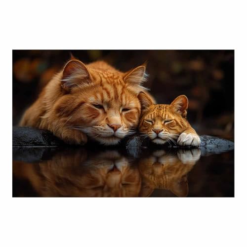 Toile Chats Oranges Dormant peinture animalière zen pour votre maison