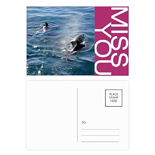 Océan épaulard nature photo lot de cartes pour ne plus manquer de cartes de vœux