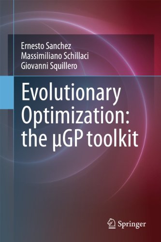 Evolutionary Optimization: the µGP toolkit: The uGP toolkit view 2