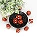 Nvzi Red Jasper Crystals Stone, Polished Stones & Rocks, Natural Healing Crystals for Chakra Balancing, Meditation, Spiritual Decor, Tumbled Stones for Energy, Reiki, Gifts (0.5LB)