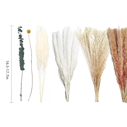 Decoración de Hierba Pampas Secas Boho miniatura 2