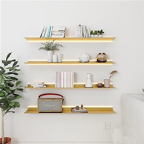 Étagères flottantes en aluminium noir 60x20 cm avec bibliothèque LED
