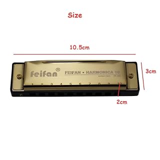 Harmonica 10 trous harmonica changeur d’harmonica avec cas harpe instrument organisateur C Tone blues harmonica enfants - Les Beatles, Paul McCartney, John Lennon, RIngo Starr, George Harrison Harmonica 10 trous harmonica changeur d'harmonica avec cas harpe instrument organisateur C Tone blues harmonica enfants – Image 2