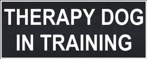 Dean & Tyler Therapy Dog in Training Patches - 5