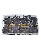 R&M International 1903 Transportation Cookie Cutters, Helicopter, Sailboat, Airplane, Locomotive, Rocket, Monster Truck, Big Rig, 7-Piece Set