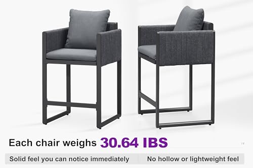 Image of PURPLE LEAF Counter Height Bar Stools Elliptical Leg Set of 2, Grey