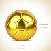 Linkidea Size 5 Gold Color Soccer Ball, Official Match Size Golden Soccer Ball, Gift Idea for Freestyle Soccer and Juggling