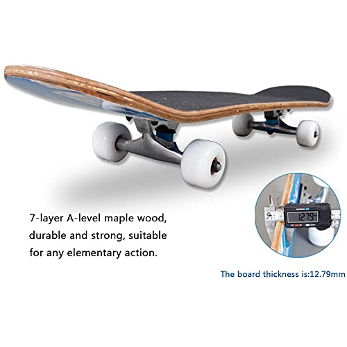 Sumeber Skateboard evoluzioni