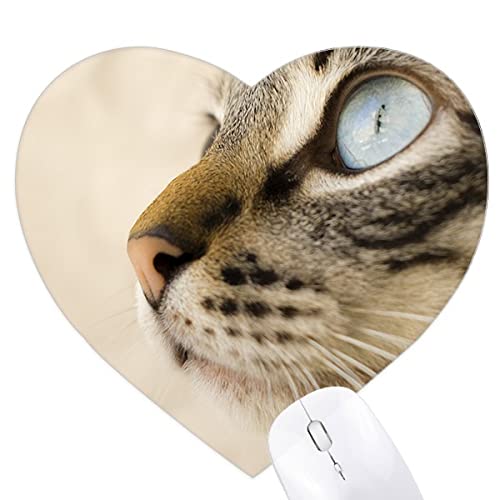 Tapis de souris coeur photo chaton gris oeil bleu idée cadeau mignon anniversaire