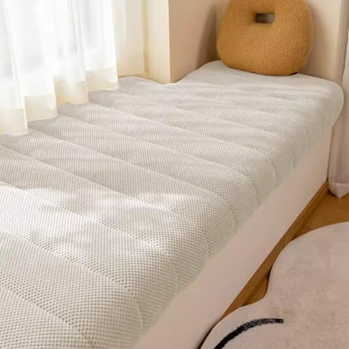 Cojín de sofá antideslizante y lavable con acolchado mullido de 5cm 2