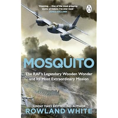 Mosquito