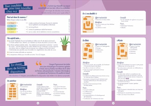Quo Vadis Mein pedagogischer Kalender Mein pedagogischer Kalender Schülerkalender Wochenkalender 21 x 29,7 cm Farbe Jahr 2023-2024