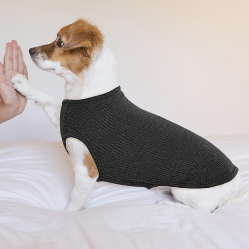 Hjumarayan Hundepullover Mittelgroße Hunde - Hundeshirt Dünn Hunde Pullover Sonnenschutz Tshirt Elastisch Hundepulli Gestreifte Shirt Pullis für Dackel Französische Bulldogge (Schwarz M)