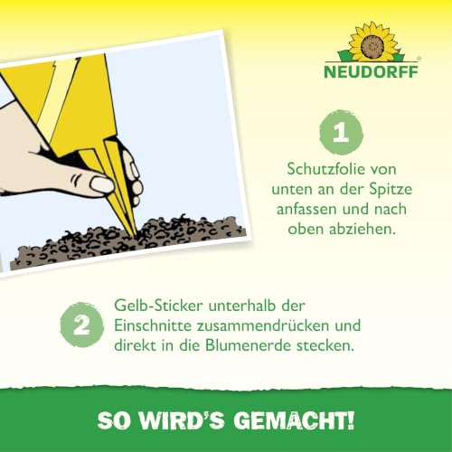 Neudorff Gelbsticker gegen kleine Fliegende Schädlinge wie Trauermücken, insektizid frei, geruchlos, 10 Stück (1er Pack) – Ansicht 6