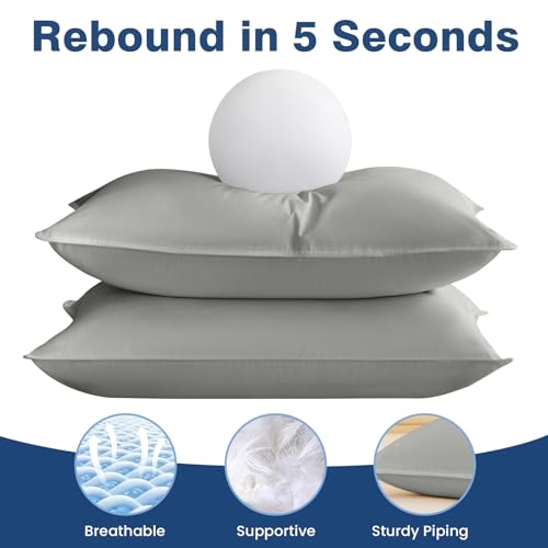 La Mejor Lista de Almohada pluma de ganso - los más vendidos. 30 Imagen adicional