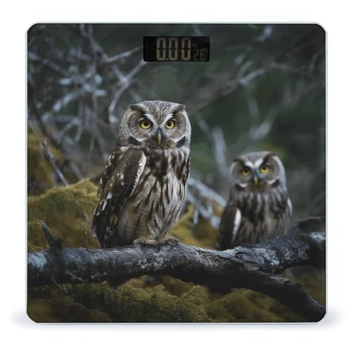 Báscula digital de baño con vidrio templado Wild Owl Birds
