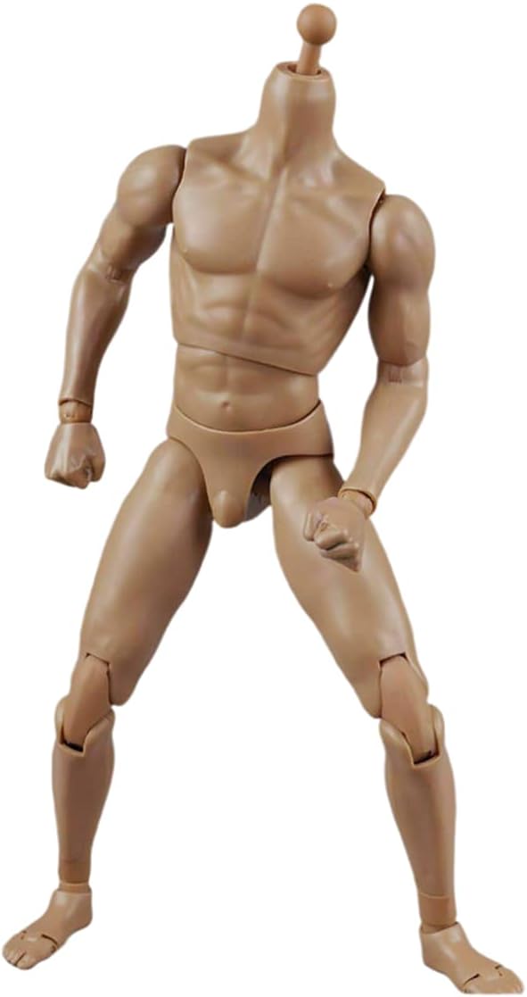 Generic 1/6 Scale Male Action Figure Body, 12" Narrow Shoulder Muscle Flexible, Ideal for Model Poses and Collectors