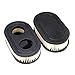 Produktbild SWNKDG 2ST Luftfilter für Briggs & Stratton Motoren 550E 550EX Eco-Plus 575EX Series Ersetzt 798339 798452 593260 093000er 09P0000er Motor 4247 5432 5432K