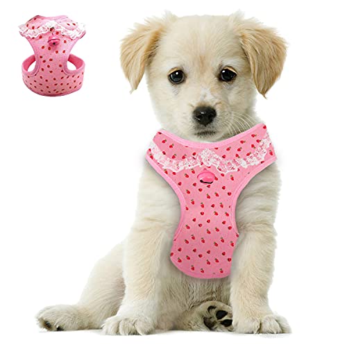 Bark Lover Pink Dog Harness for Small Dogs–No Pull Girl Dog Harness,Step-in Adjustable Puppy Harness for Cats & Small Breeds–Cute Soft Breathable Dog Vest Harness Lightweight & Comfortable(L Pink)