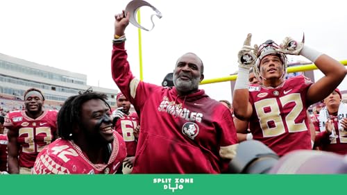 The 7 Kinds of Interim Coach Podcast Por arte de portada