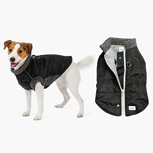 amazon dog puffer coat