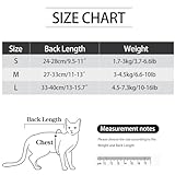 Zoom IMG-1 body per gatti dopo la Zoom IMG-1 body per gatti dopo la