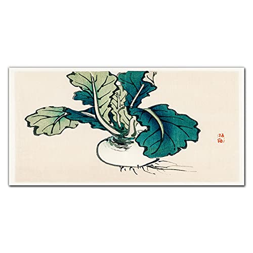 Photo sur verre 100x50cm tableau décoration murale oignon légumes