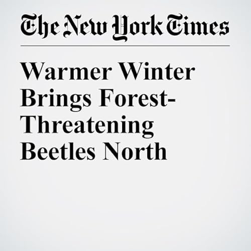 Warmer Winter Brings Forest-Threatening Beetles North cover art