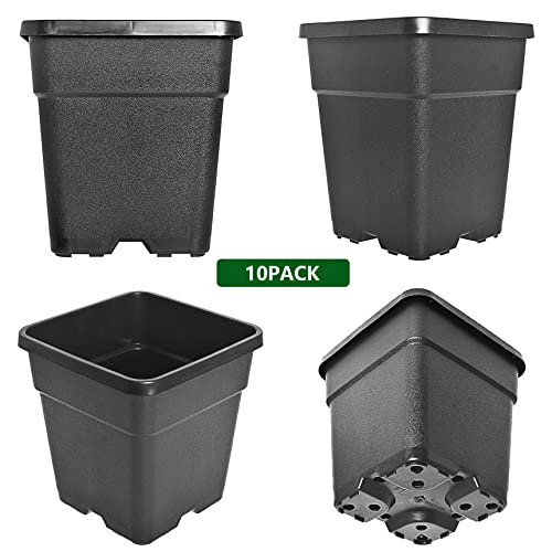 Rainman S DOES NOT APPLY 10-Pack 2 Gallon Square Planter Nursery Pots, Flower Plant Container Injection Molded Plastic Nursery Pots Gardening Pots thumb #4