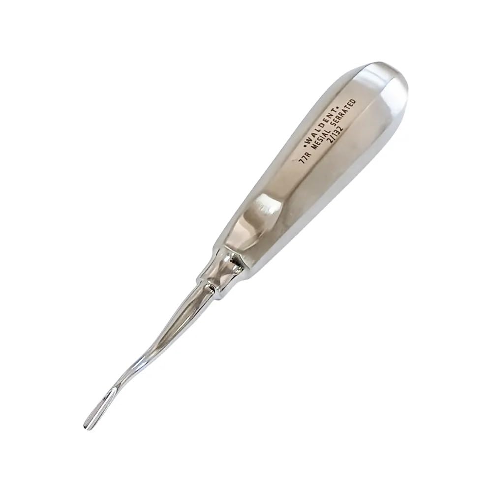 Waldent Root Elevator With Mesial Serrated Tip - 77R (2/132)-image-37
