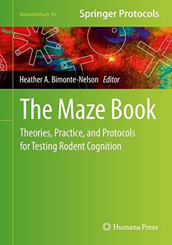 The Maze Book view 2