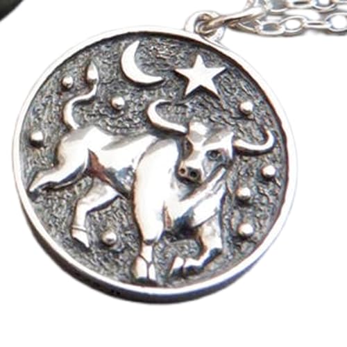 Collier argent 925 Taureau anti-ternissement avec sa chaîne confortable de 45 cm