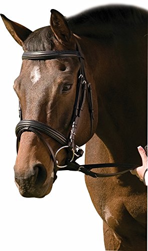 Henri de Rivel Padded Raised Dressage Bridle with Crank Noseband