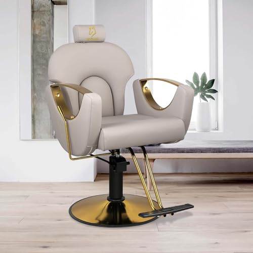 LUXMARS Barber Chair Reclining Salon Chair Height Adjustable Hydraulic Barber Chairs Salon Hydraulic Recliner Chair Hydraulic Pump Profession Shampoo Chair Beauty Salon Grey