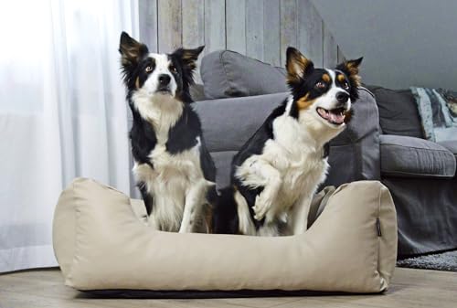 4L Textil Mario Hundebett Kunstleder Hundekorb aus Kunstleder Wasserfestes Hundebett mittelgroße Hunde Hundesofa Lederoptik (100x70 cm, Beige)