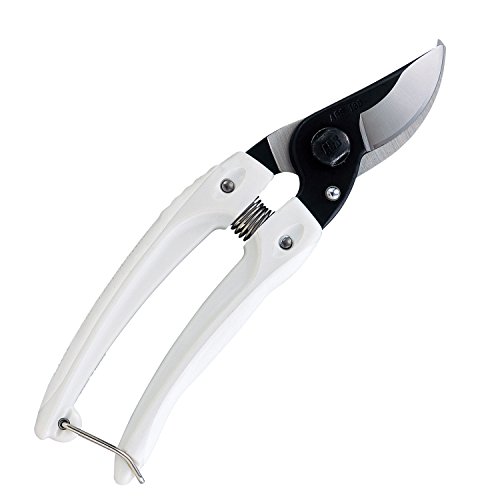 Super Sale 🛒 Ars Corporation mini scissors light weight, small pruning shears (Black) 130B (japan import) One-Day Sale: Up to 60% Off Ars Corporation mini scissors light weight, small pruning shears (Black) 130B (japan import)