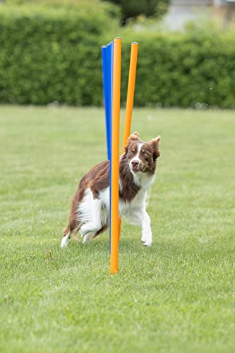 Trixie Dog Agility Slalom Set, Portable Dog Training Poles, Agility Weaving Poles, 12 Pcs #TOP5