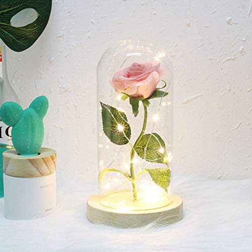 Preisvergleich Produktbild certainPL Rosenlampe led,Glas NEUES Jahr konservierte frische Blume Romantische Unsterblichkeit Ewige Blume Rose Glasabdeckung Farbe Present Beauty 1 Roses