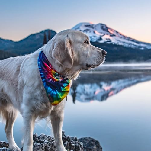 Image of Wilderdog Dog Bandana with Lightweight Quick Drying Poly-Blend Mesh Material in Tiedye