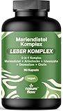 Mariendistel Artischocke Löwenzahn Komplex Hochdosiert – 90 Kapseln – Leberkomplex 5-in-1 Komplex mit Mariendistel, Artischocke, Löwenzahn, Desmodium & Cholin, Leberkur – Vegan, Laborgeprüft