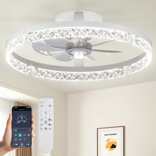 Image of Passky 20 inch Ceiling Fans with Lights and Remote, Low Profile Fandelier