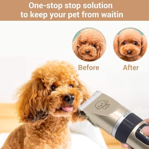 Image of Unisex pets grooming kit, Rechargeable Cordless Electric Quiet Hair Clipper Grooming Kit Set, Professional Pet Hair Trimmer Long Short Hair Shaver for Pets Cats Pets (Gold)