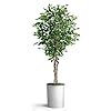 Artificial Tree in White Marble Effect Planter Fake Ficus Silk Tree for Indoor and Outdoor Home Decoration 66 Overall Tall Plant Pot Plus Tree