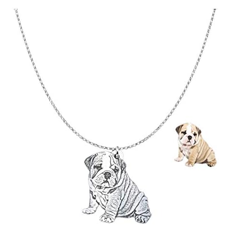 Personalised Necklace 925 Sterling Silver Custom Pet Photo Both Sides Engraved Necklace Prsonalised Dog Necklace Personalised Pet Memorial Gifts (Necklace) Cover